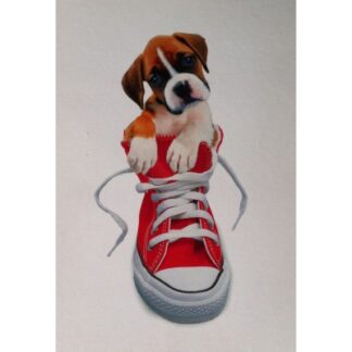 Keith Kimberlin - dog sneakers single kaart