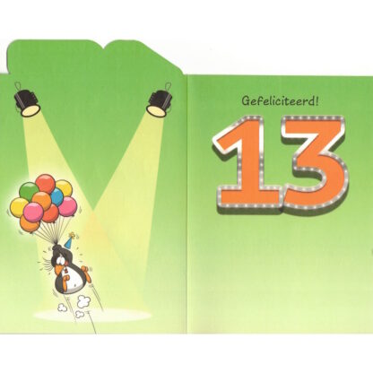 Verjaardagskaart 13 jaar!