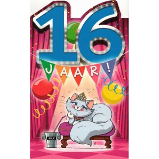 Verjaardagskaart 16 jaar!